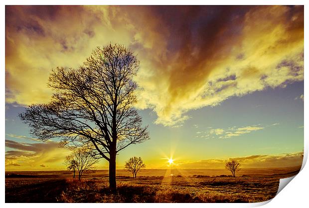  Setting Sun Print by Lee Wilson