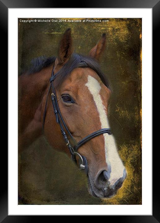  Brown Beauty Framed Mounted Print by Michelle Orai