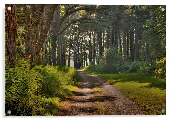  Whiteford burrows path Acrylic by Leighton Collins