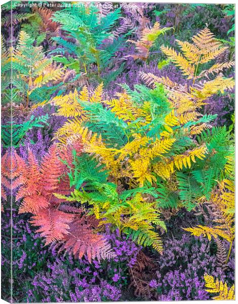  Yorkshire Moorland Autumn Colours Canvas Print by Peter Jordan
