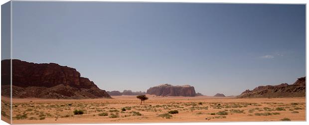  Wadi Rum Jordan Canvas Print by Richie Miles