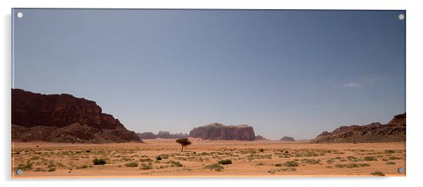  Wadi Rum Jordan Acrylic by Richie Miles
