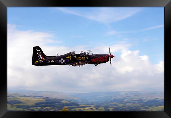 Poppy Tucano  Framed Print by J Biggadike