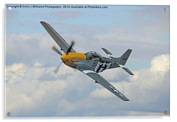  P51 Mustang Ferocious Frankie Acrylic by Colin Williams Photography