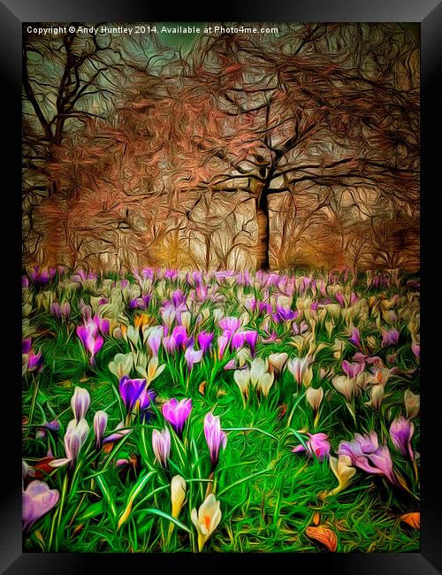  Early Spring Framed Print by Andy Huntley