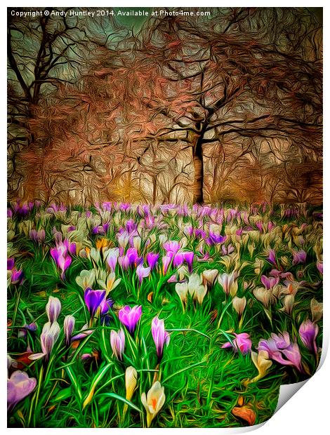  Early Spring Print by Andy Huntley