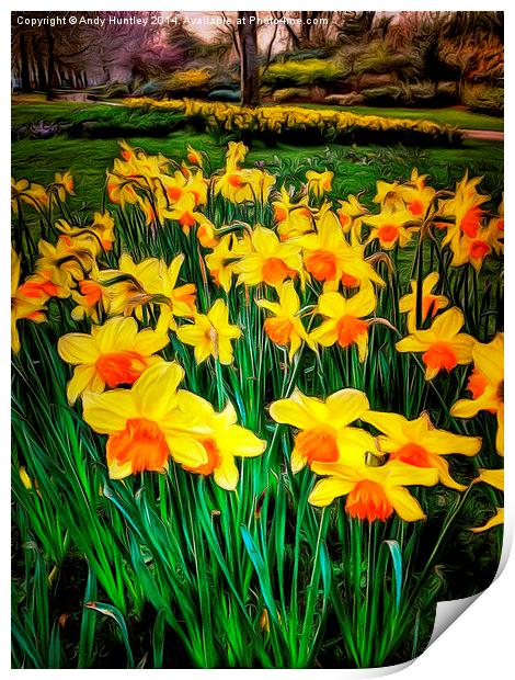  Dafoodils in Bloom Print by Andy Huntley