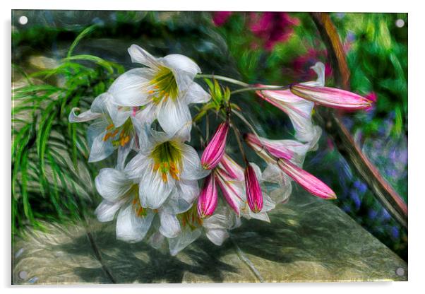 Summer Lilies  Acrylic by Ian Mitchell