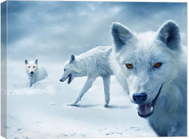  Arctic Wolves Canvas Print by Mal Bray