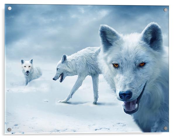  Arctic Wolves Acrylic by Mal Bray