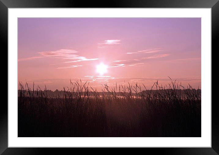 Sunrise Over the Marsh Framed Mounted Print by Jean Scott