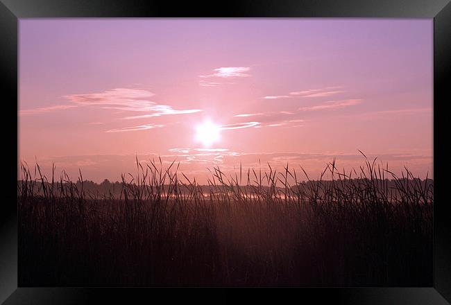 Sunrise Over the Marsh Framed Print by Jean Scott