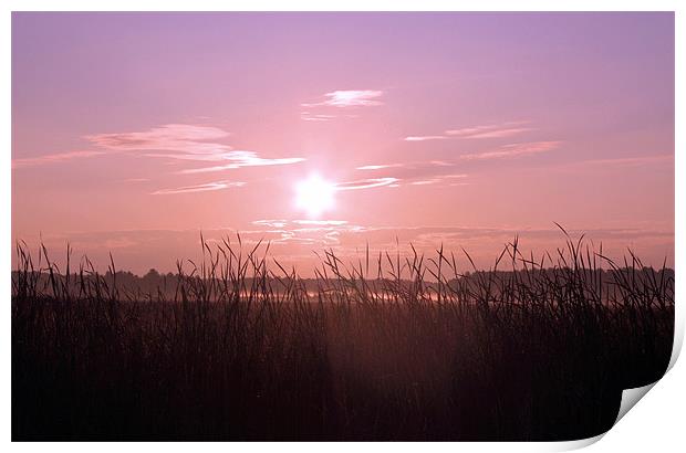 Sunrise Over the Marsh Print by Jean Scott