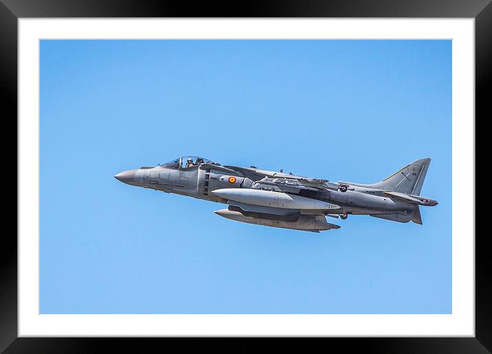  Harrier Framed Mounted Print by Peter Kelly