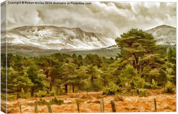  Winter comes to the Cairngorms Canvas Print by Robert Murray