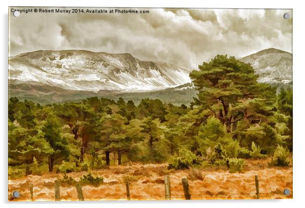  Winter comes to the Cairngorms Acrylic by Robert Murray