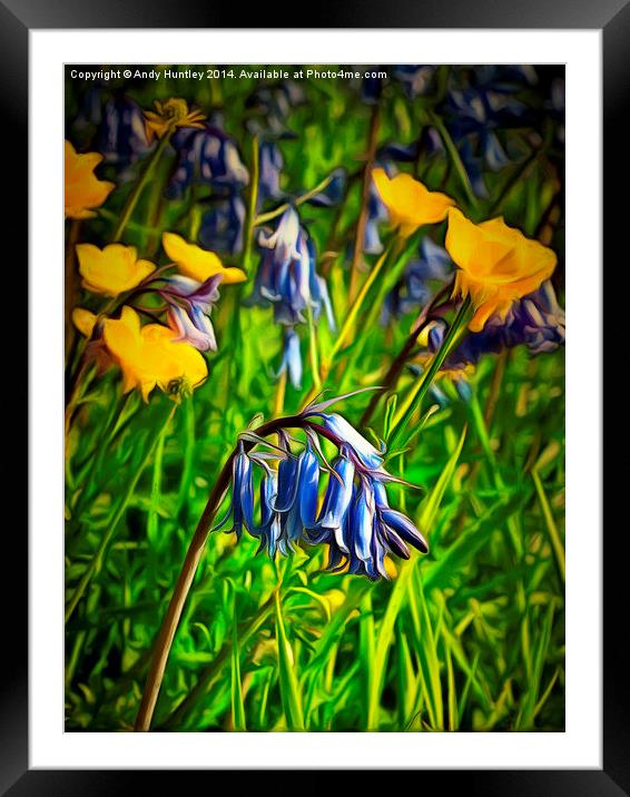  Bluebells and Buttercups Framed Mounted Print by Andy Huntley