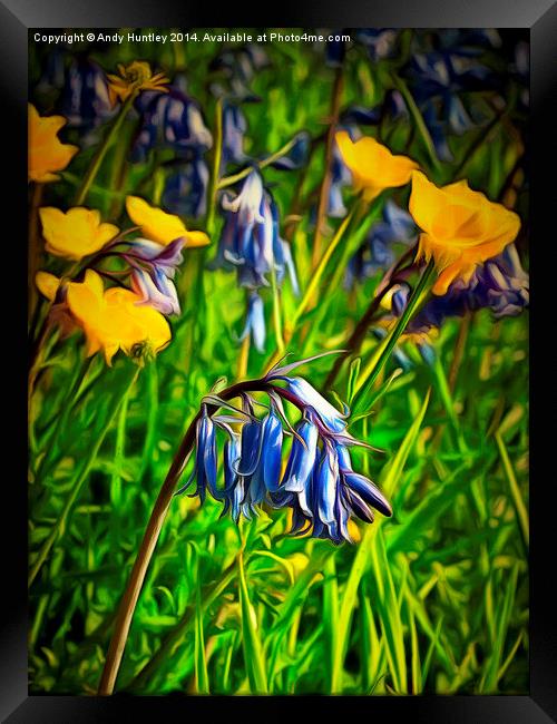 Bluebells and Buttercups Framed Print by Andy Huntley