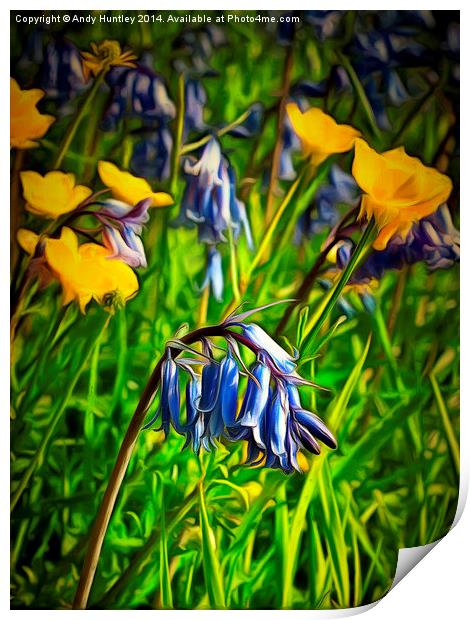  Bluebells and Buttercups Print by Andy Huntley