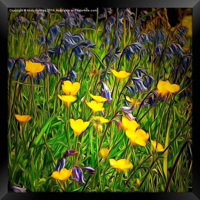  Buttercups and Bluebells Framed Print by Andy Huntley