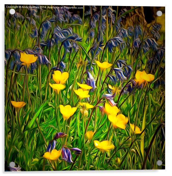  Buttercups and Bluebells Acrylic by Andy Huntley