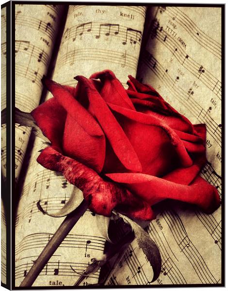  love song Canvas Print by Heather Newton
