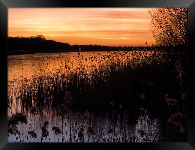Sunset over Ormesby Little Broad Framed Print by Stephen Mole