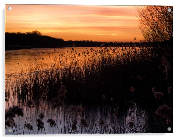 Sunset over Ormesby Little Broad Acrylic by Stephen Mole