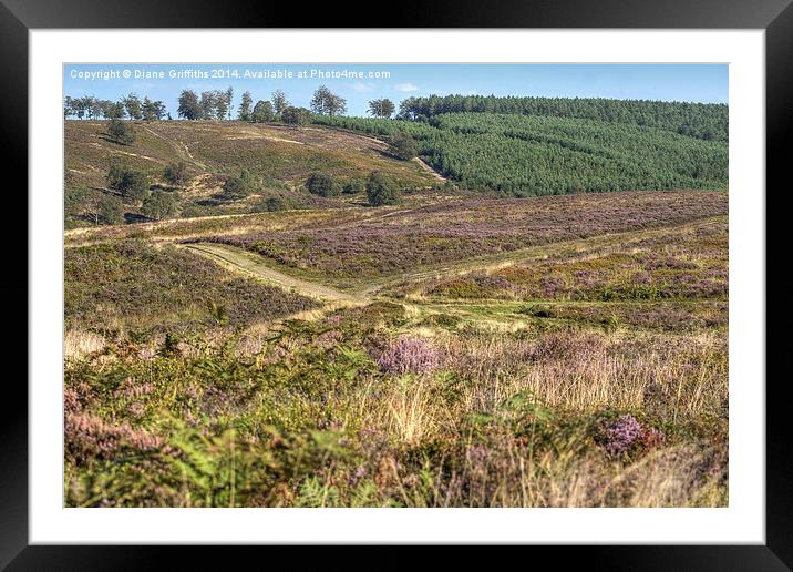  Cannock Chase Framed Mounted Print by Diane Griffiths