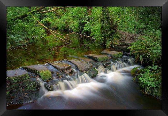 Third Coppice Stepping Stones, Rivelin  Framed Print by Darren Galpin