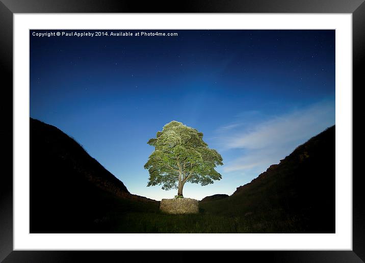  Lone Tree on Hadrian's Wall - Sycamore Gap Framed Mounted Print by Paul Appleby
