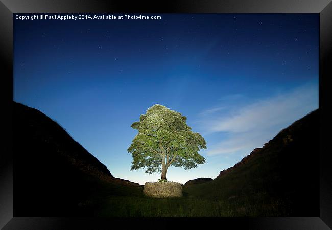  Lone Tree on Hadrian's Wall - Sycamore Gap Framed Print by Paul Appleby