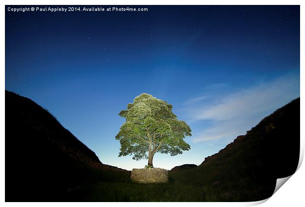  Lone Tree on Hadrian's Wall - Sycamore Gap Print by Paul Appleby