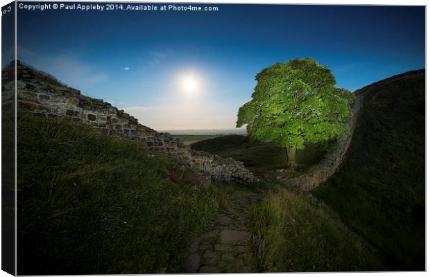  Other Side of the Wall - Sycamore Gap, Hardian's  Canvas Print by Paul Appleby