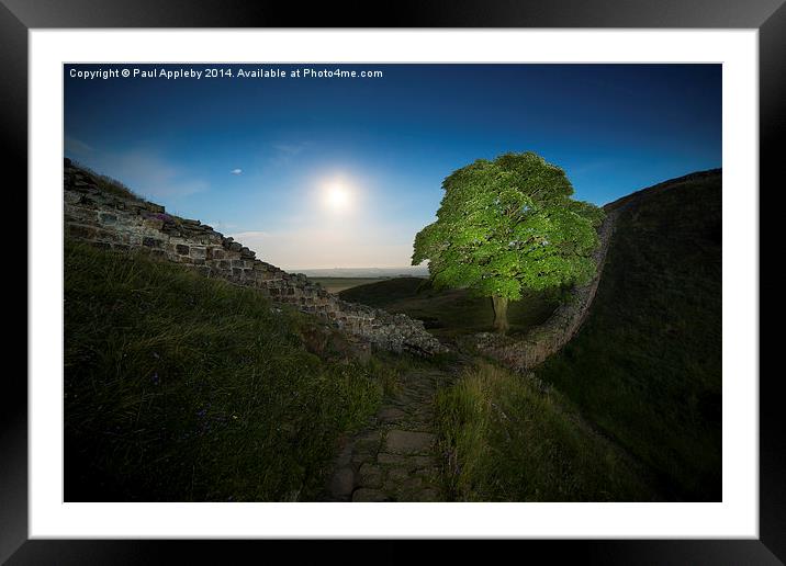  Other Side of the Wall - Sycamore Gap, Hardian's  Framed Mounted Print by Paul Appleby