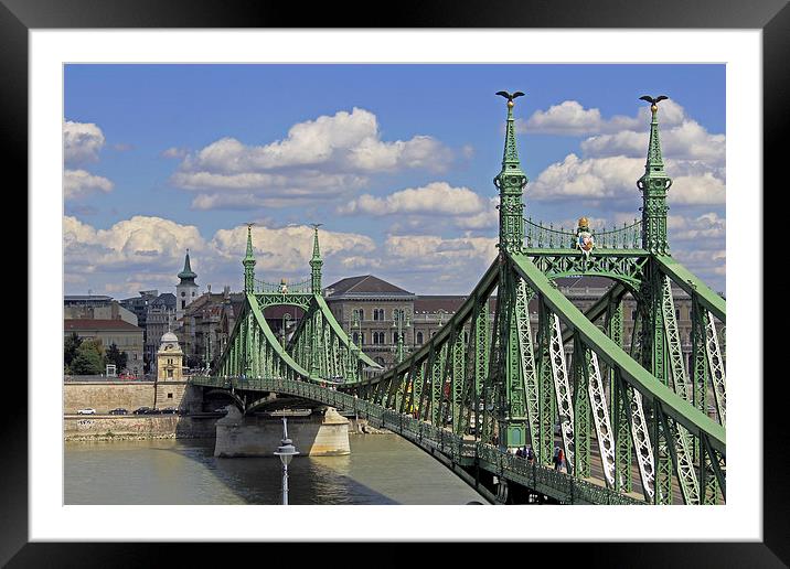 Liberty Bridge Budapest   Framed Mounted Print by Tony Murtagh
