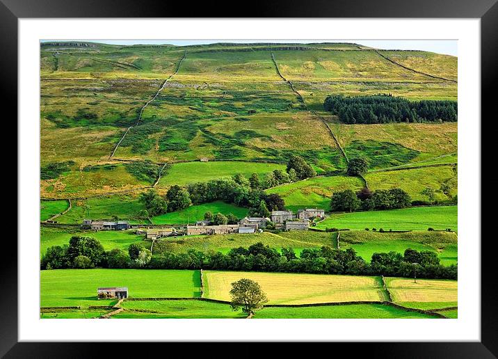  Hamlet Satron in Swaledale, Yorkshire Dales Framed Mounted Print by Gisela Scheffbuch