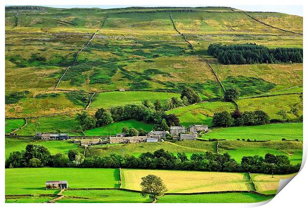  Hamlet Satron in Swaledale, Yorkshire Dales Print by Gisela Scheffbuch