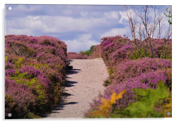  Path through the heath. Acrylic by Alan Waters