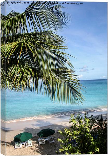  The Tranquil Beach Barbados Canvas Print by Judith Lightfoot