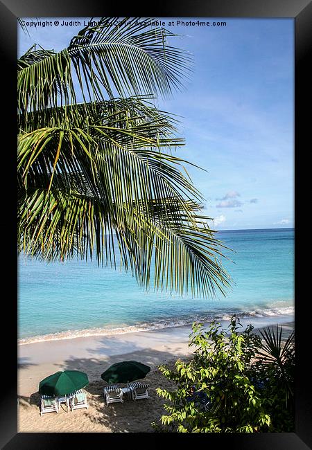  The Tranquil Beach Barbados Framed Print by Judith Lightfoot