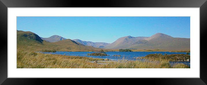  highland landscape    Framed Mounted Print by dale rys (LP)