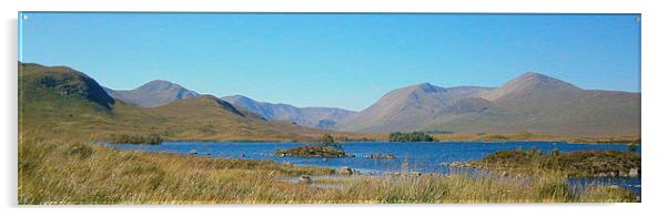  highland landscape    Acrylic by dale rys (LP)