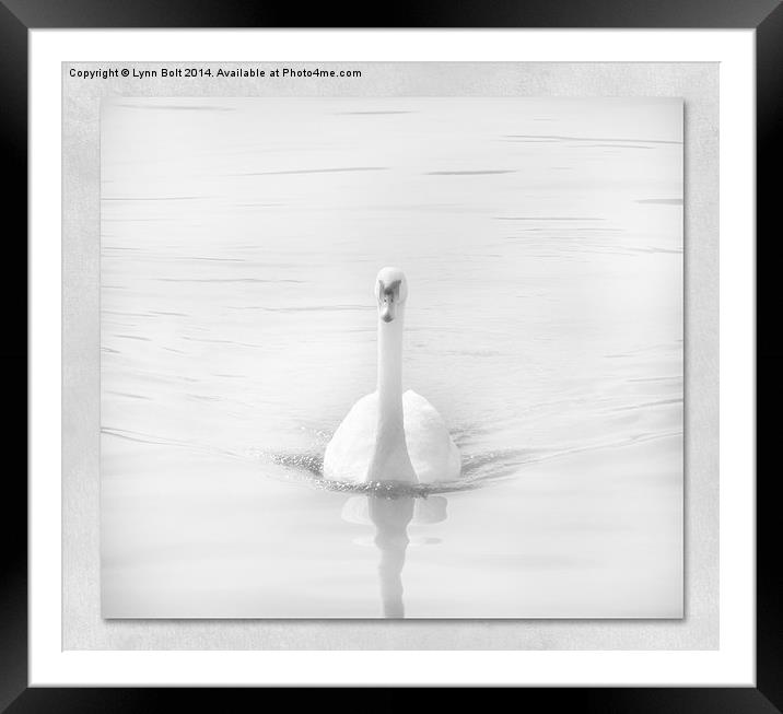  Ghostly Swan Framed Mounted Print by Lynn Bolt