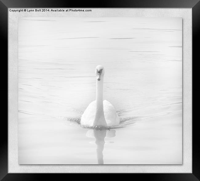  Ghostly Swan Framed Print by Lynn Bolt