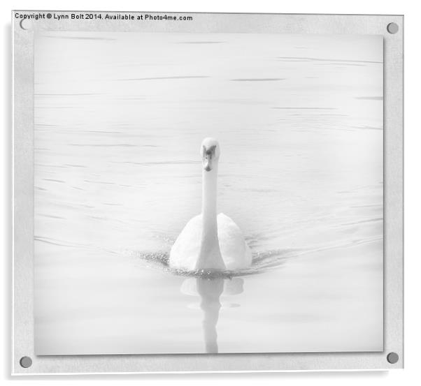  Ghostly Swan Acrylic by Lynn Bolt