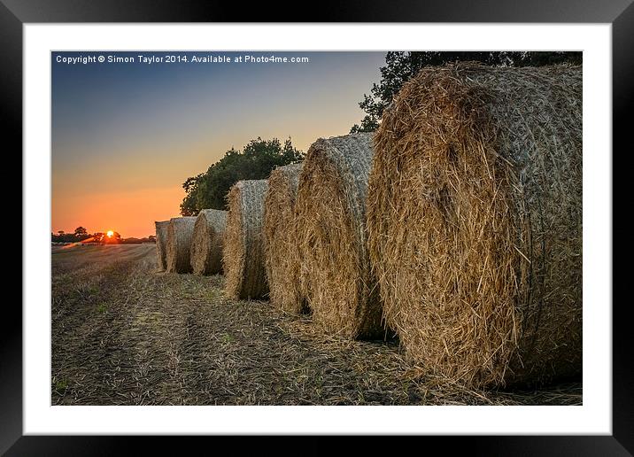  Sunset Bales Norfolk Framed Mounted Print by Simon Taylor