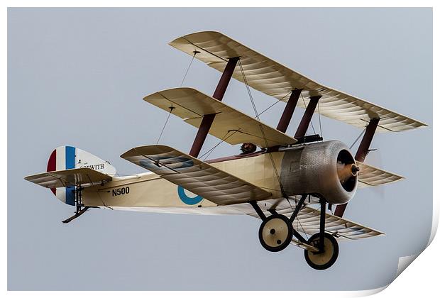 Great War Sopwith Triplane Print by Oxon Images