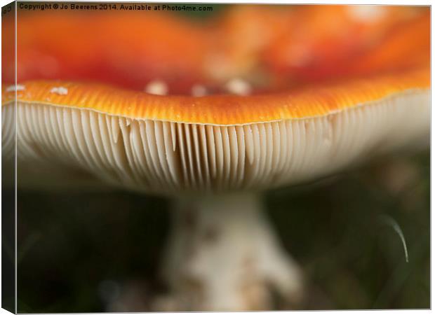 fly agaric Canvas Print by Jo Beerens