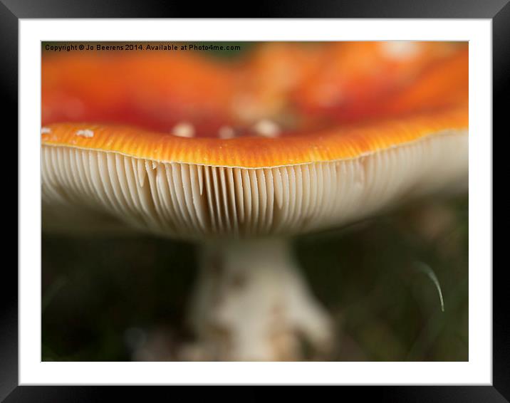 fly agaric Framed Mounted Print by Jo Beerens